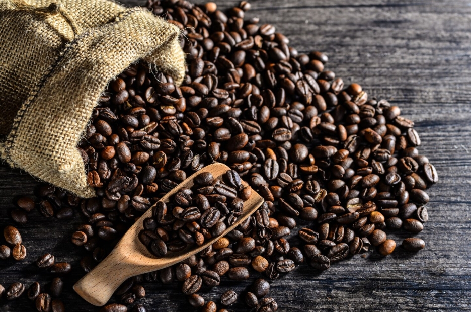 robusta coffee beans